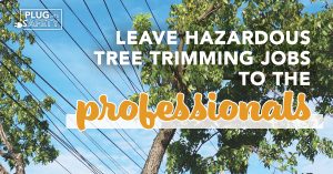 Leave hazardous tree trimming to the professionals
